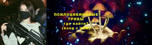 спиды Дмитровск
