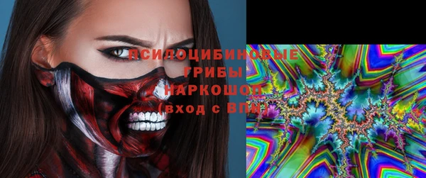 экстази Дмитриев